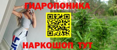 эйфоретик Пушкино
