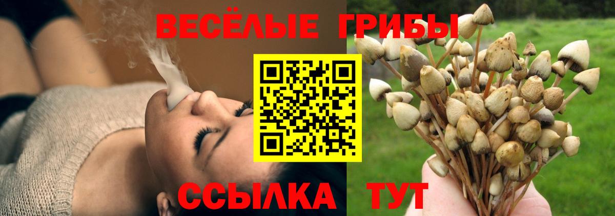 Псилоцибиновые грибы Cubensis  Вход с VPN  Галлюциногенные грибы Cubensis  Сарапул 