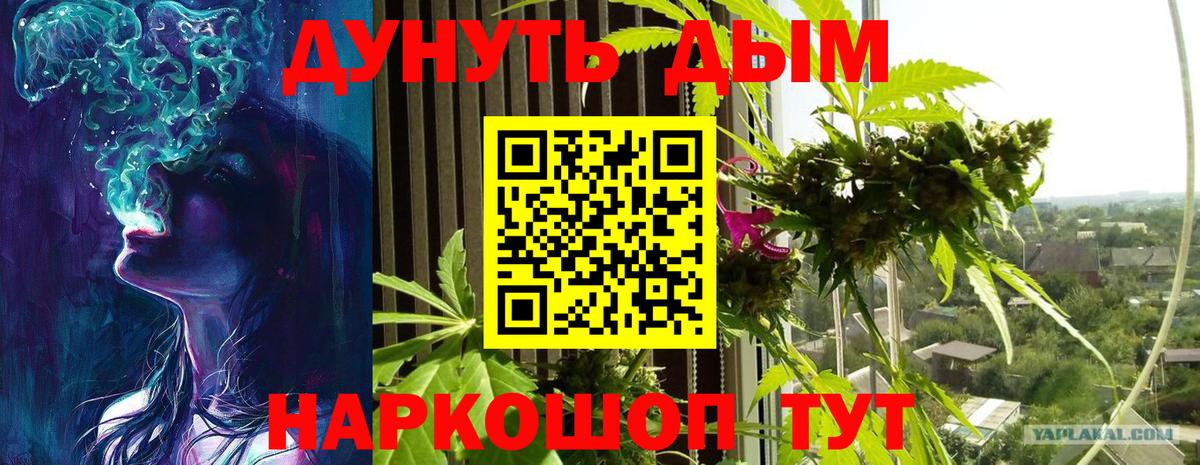 Сарапул  Бошки Шишки сатива  Вход с VPN  МАРИХУАНА гибрид 